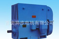 ҹӦYϵY5002-6 560KW 10KV ̩