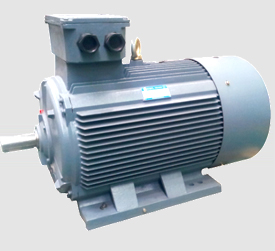 YE3-200L2-6  22KW/380V Ч