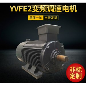 YVF2-315L2-4 200KW-380V-5-100HZƵٵ